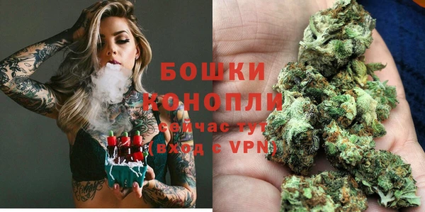 бошки Белокуриха