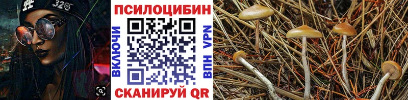 OMG ONION  Томмот  Галлюциногенные грибы GOLDEN TEACHER  купить наркоту 